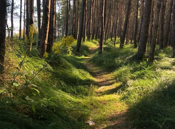 Mandala * Mielno (Koszalin)